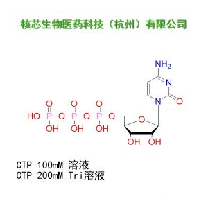 CTP 200mM Tris 溶液