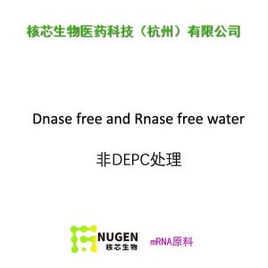 Dnase-Rnase-free-water