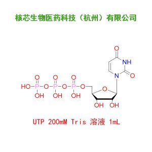 UTP-solution-Tris 溶液-200mM-1ml